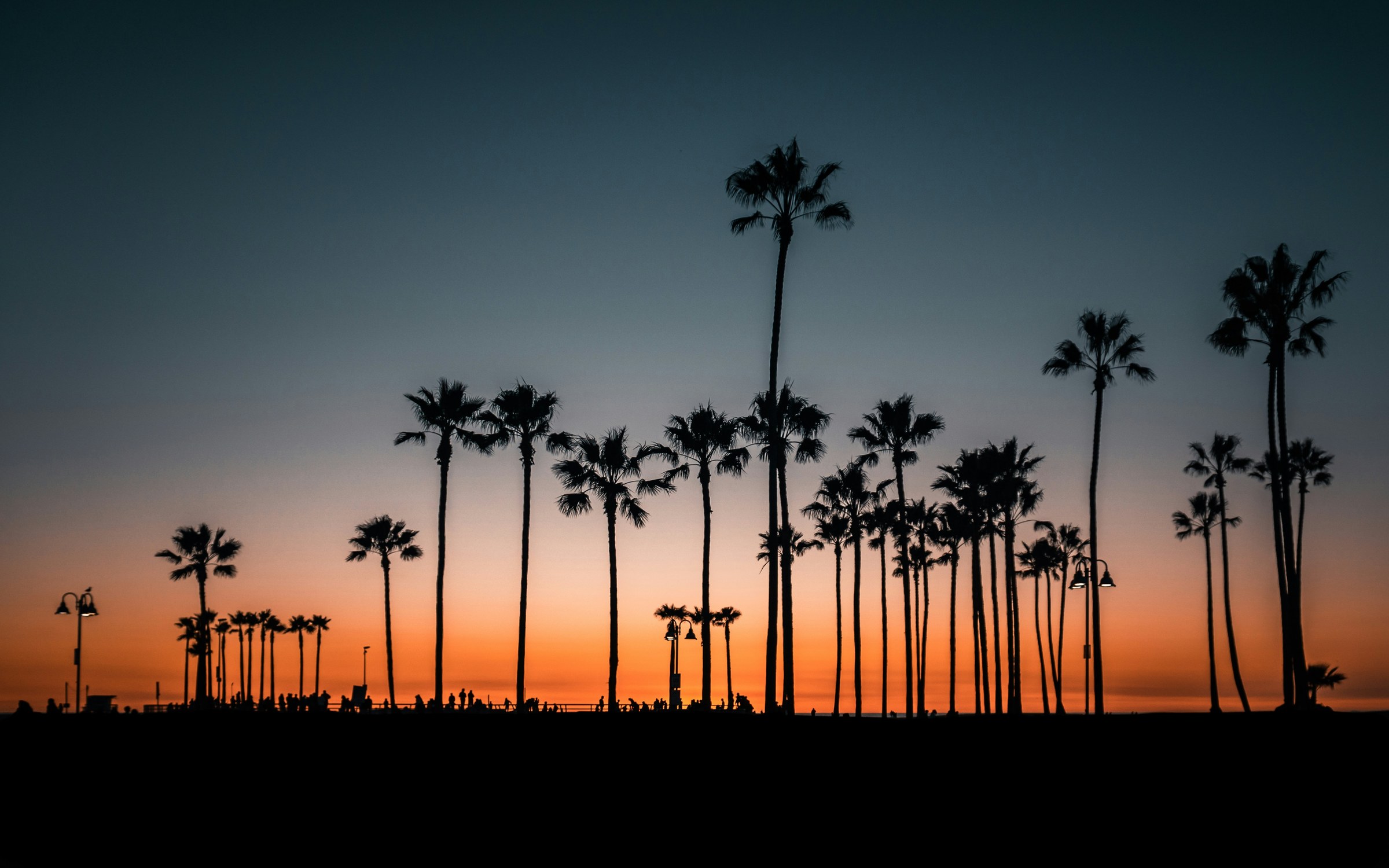Palm-lined Southern California coastline at sunset